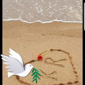 Meet your Posher, Rehana